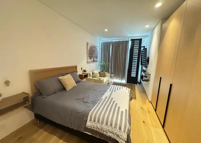 Skyline 41 Luxury Executive Loft Apartment Mexico City