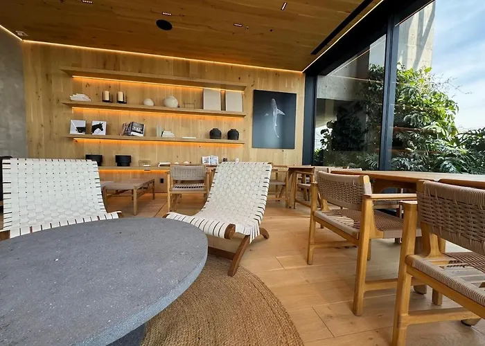 Skyline 41 Luxury Executive Loft