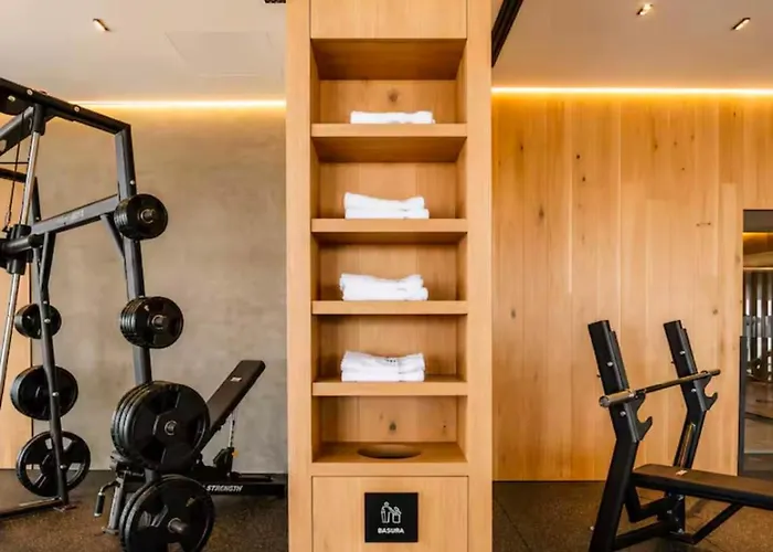 Skyline 41 Luxury Executive Loft Apartment Mexico City